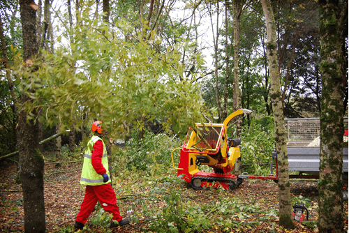 Matériel forestier - Broyeurs de végétaux - Broyeur de branches sur chenilles VEGETOR C