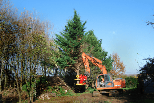 Matériel forestier - Grappin forestier - Grappin XYLOCUT - XYLOGRIP