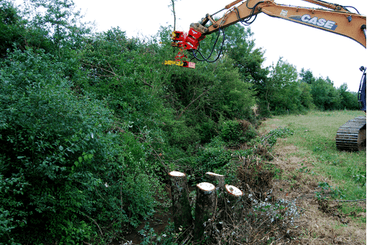 Matériel forestier - Grappin forestier - Grappin XYLOCUT - XYLOGRIP