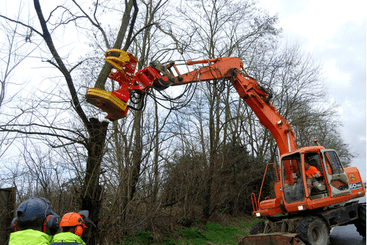 Matériel forestier - Grappin forestier - Grappin XYLOCUT - XYLOGRIP