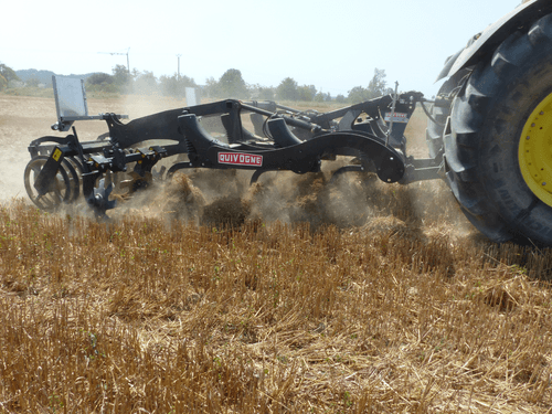 Travail du sol - Déchaumeur à dents - Déchaumeur à dents trainé ou porté BLACKBEAR
