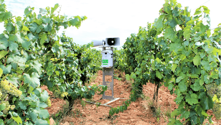 Lutte anti-nuisibles - Effaroucheurs - Effaroucheur WILDTRAC® WDT 18S